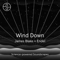 Wind Down mp3 Album by James Blake & Endel