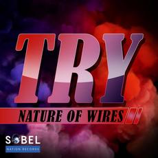 Try mp3 Remix by Nature of Wires
