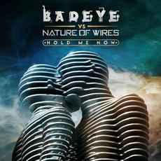 Hold Me Now mp3 Single by Nature of Wires