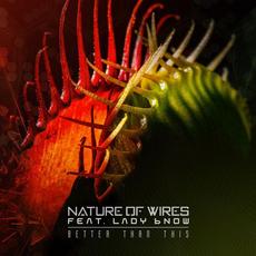 Better Than This mp3 Single by Nature of Wires