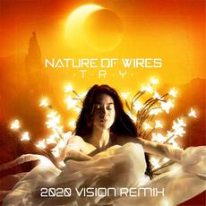 Try (2020 Vision Remix) mp3 Single by Nature of Wires