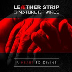 A Heart So Divine (For Kurt) mp3 Single by Nature of Wires