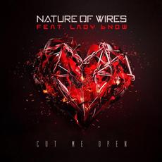 Cut Me Open mp3 Single by Nature of Wires