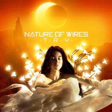 Try mp3 Single by Nature of Wires