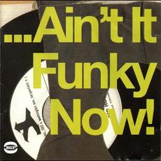 Ain't It Funky Now mp3 Compilation by Various Artists