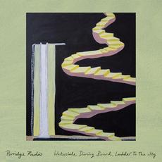 Waterslide, Diving Board, Ladder to the Sky mp3 Album by Porridge Radio