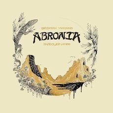 Obsidian Visions / Shadowed Lands mp3 Album by Abronia