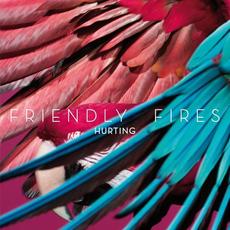 Hurting (Benoit & Sergio Remix) mp3 Remix by Friendly Fires