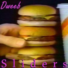 Sliders mp3 Album by Dweeb