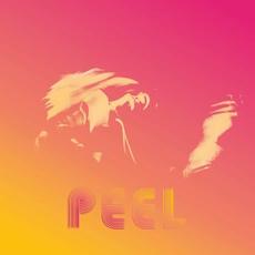 Peel mp3 Single by Diane Coffee