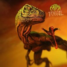 Fossil mp3 Album by Fátima (2)