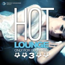 Hot Lounge, Only for Gourmets, Vol.3 mp3 Compilation by Various Artists