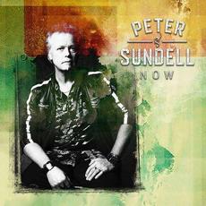 Now mp3 Album by Peter Sundell