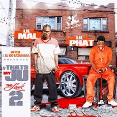 The Leak mp3 Album by Lil Phat
