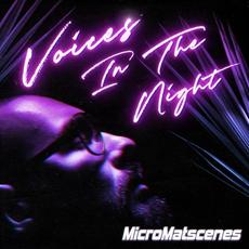 Voices in the Night mp3 Album by MicroMatscenes
