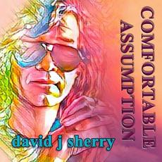 Comfortable Assumption mp3 Album by David J. Sherry
