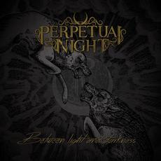 Between Light And Darkness mp3 Artist Compilation by Perpetual Night