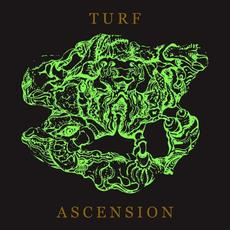 Turf Ascension mp3 Album by Bubblemath