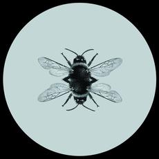 Bee mp3 Single by Damaged Clock