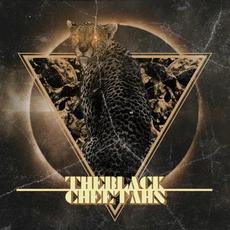 Slow Doomed Fever mp3 Album by The Black Cheetahs