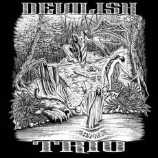 Past Junts mp3 Album by Devilish Trio