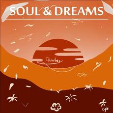 Soul & Dreams mp3 Album by Pandrezz
