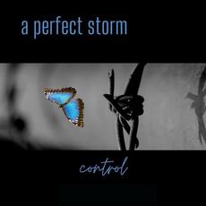Control mp3 Album by A Perfect Storm