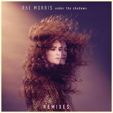 Under The Shadows Remixes mp3 Remix by Rae Morris