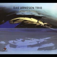 Pentagon Tapes mp3 Album by Dag Arnesen Trio