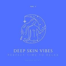Deep Skin Vibes (Perfect Time To Relax), Vol. 1 mp3 Compilation by Various Artists