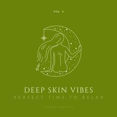 Deep Skin Vibes (Perfect Time To Relax), Vol. 4 mp3 Compilation by Various Artists