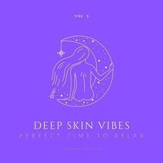 Deep Skin Vibes (Perfect Time To Relax), Vol. 3 mp3 Compilation by Various Artists