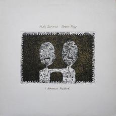 I Advance Masked mp3 Album by Andy Summers & Robert Fripp
