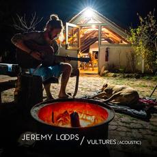 Vultures (Acoustic Version) mp3 Single by Jeremy Loops