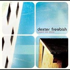 Tripped Into Divine mp3 Album by Dexter Freebish