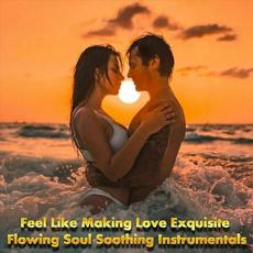 Feel Like Making Love: Exquisite Flowing Soul Soothing Instrumentals mp3 Compilation by Various Artists
