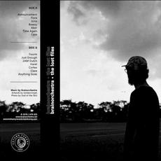 The Lost Files mp3 Album by Brainorchestra