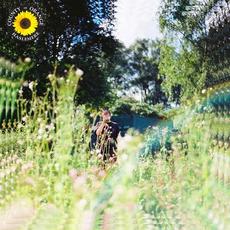 Sunflower mp3 Single by Rex Orange County