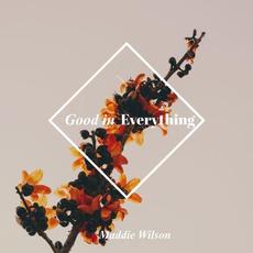 Good in Everything mp3 Single by Maddie Wilson