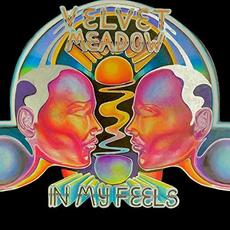 In My Feels mp3 Album by Velvet Meadow