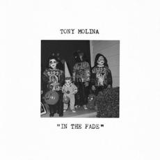 In the Fade mp3 Album by Tony Molina