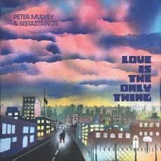 Love Is the Only Thing mp3 Album by Peter Mulvey & SistaStrings