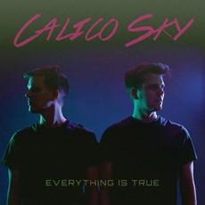 Everything Is True mp3 Album by Calico Sky