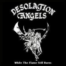 While the Flame Still Burns mp3 Album by Desolation Angels