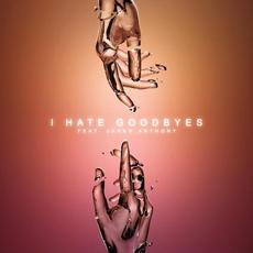 I Hate Goodbyes (feat. Jared Anthony) mp3 Single by Autumn Kings