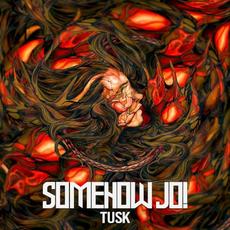 Tusk mp3 Album by Somehow Jo