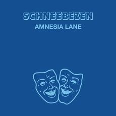 Amnesia Lane mp3 Album by Schneebezen