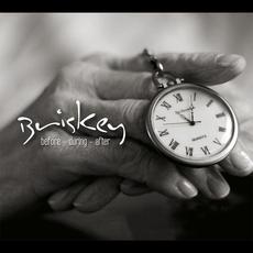 Before - During - After mp3 Album by Briskey