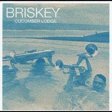 Cucumber Lodge mp3 Album by Briskey