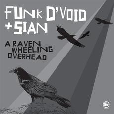 A Raven Wheeling Overhead mp3 Single by Funk D'Void + Sian